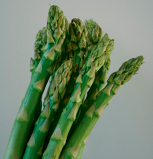 Asparagus officinalis 'Mary Washington'