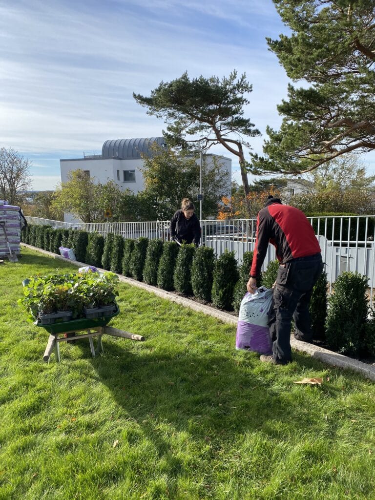 Trädgårdstjänster för stora och små trädgårdar